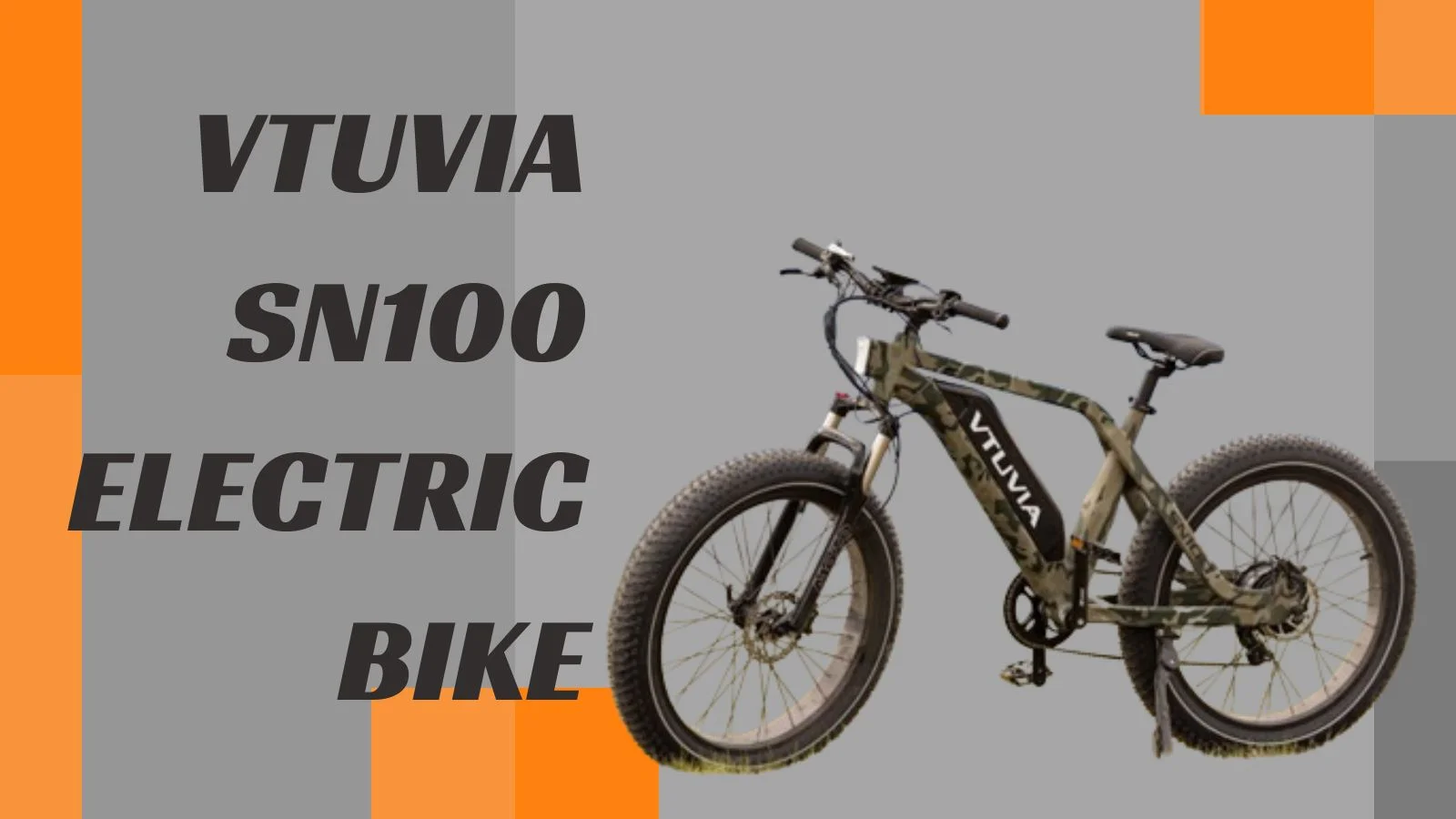 Vtuvia SN100 Electric Bike